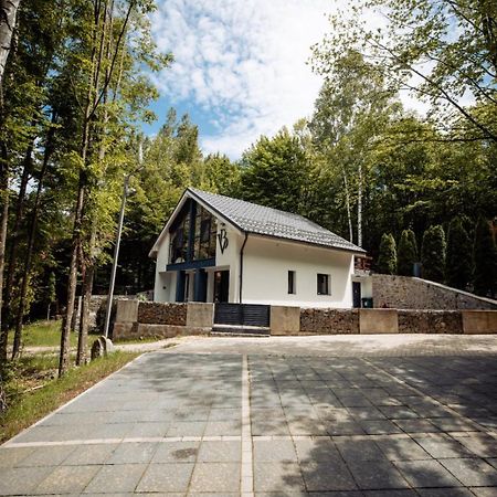 Vila Blanc Valiug Crivaia Exterior photo