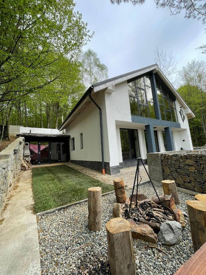 Vila Blanc Valiug Crivaia Exterior photo