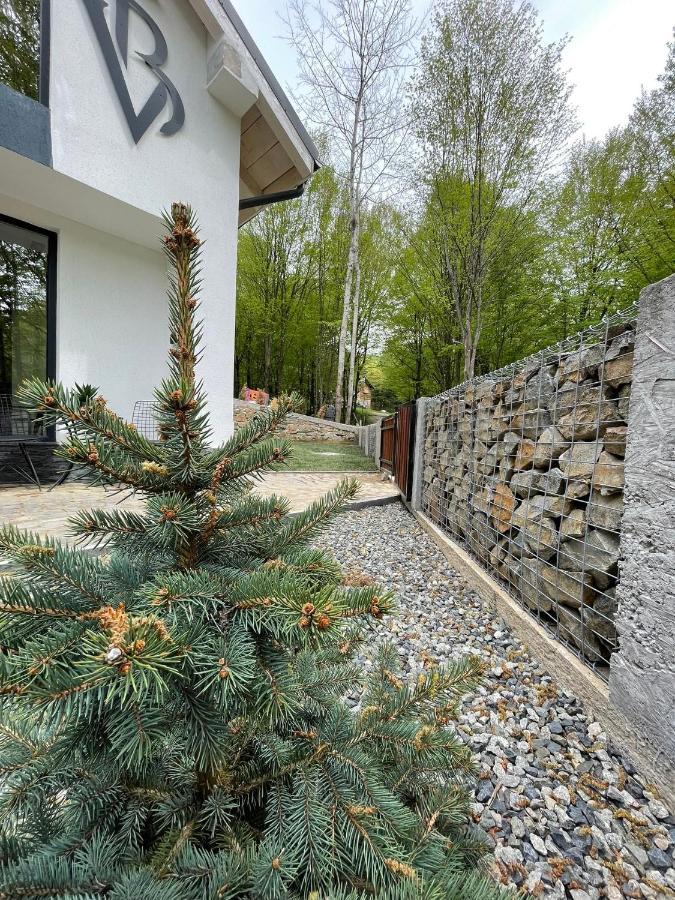 Vila Blanc Valiug Crivaia Exterior photo