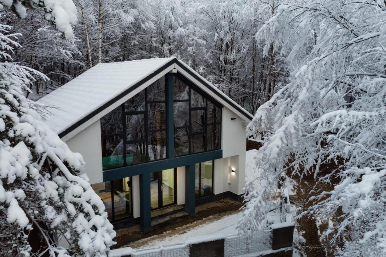 Vila Blanc Valiug Crivaia Exterior photo